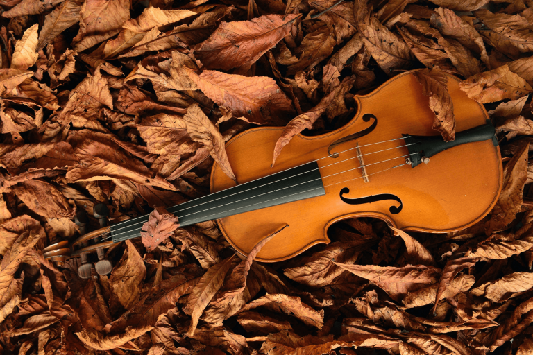 How Violin Music Affect Gamblers, Mentally
